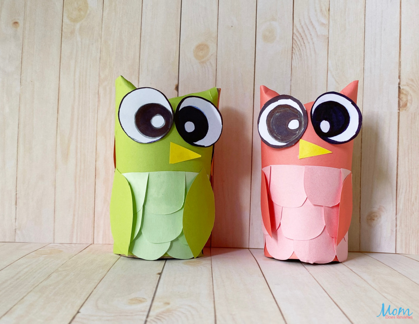 Toilet Paper Owl Craft for Kids