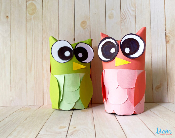 Toilet Paper Owl Craft for Kids