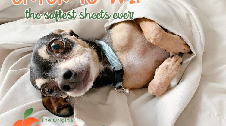 #Win PeachSkinSheets! You Choose Color and Size!