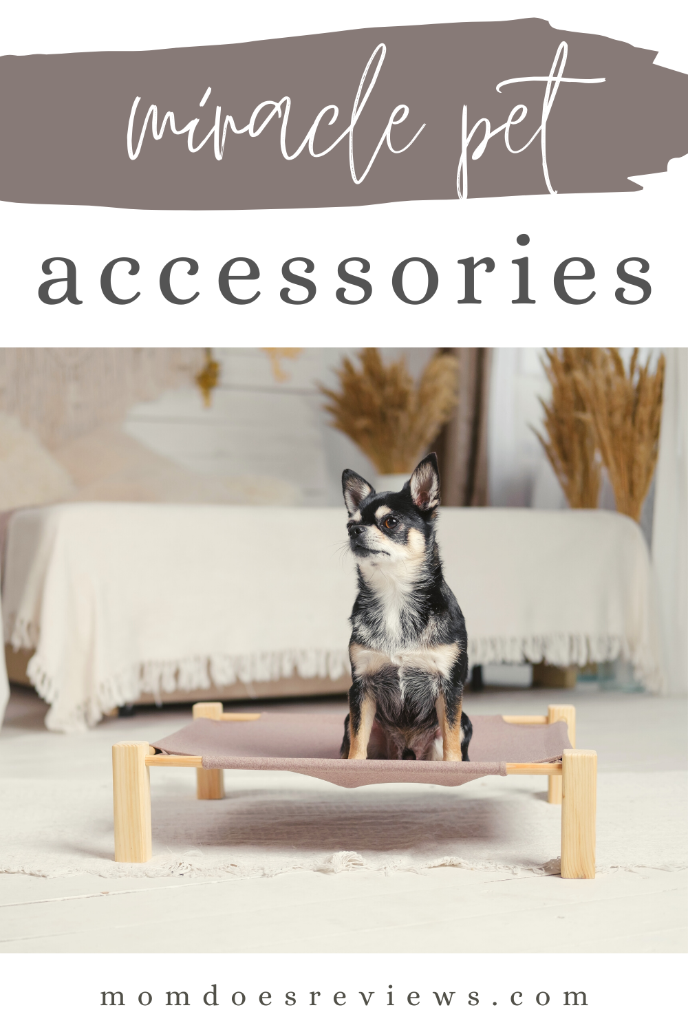 Miracle Pet Accessories