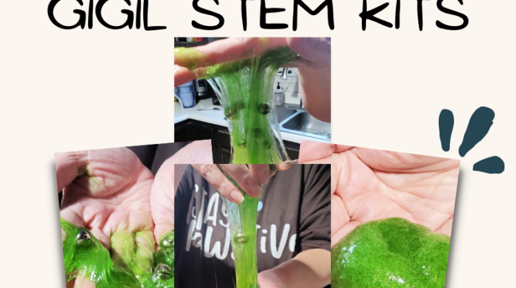 Make Learning Fun with GIGIL STEM Kits