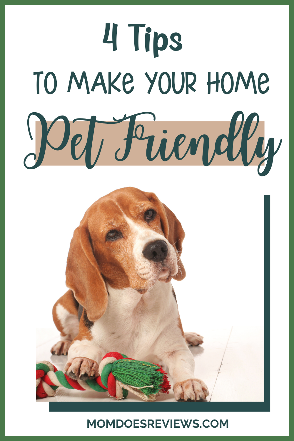 4 Tips on Creating a Comfortable Living Space For Your Pets