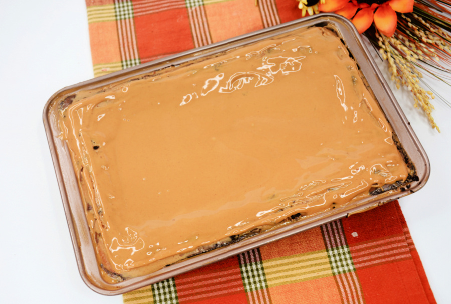 EXTREME Peanut Butter Gooey Brownies 