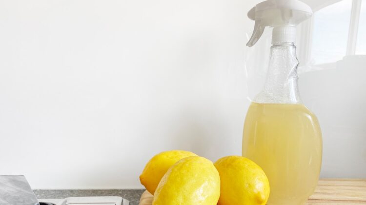Cleaning a Home with Natural Products