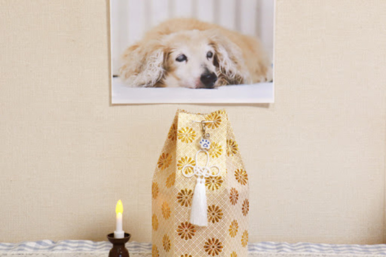 6 Creative Things To Do With Your Pet Cremation Ashes