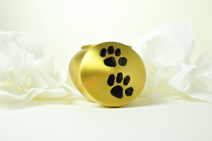6 Creative Things To Do With Your Pet Cremation Ashes