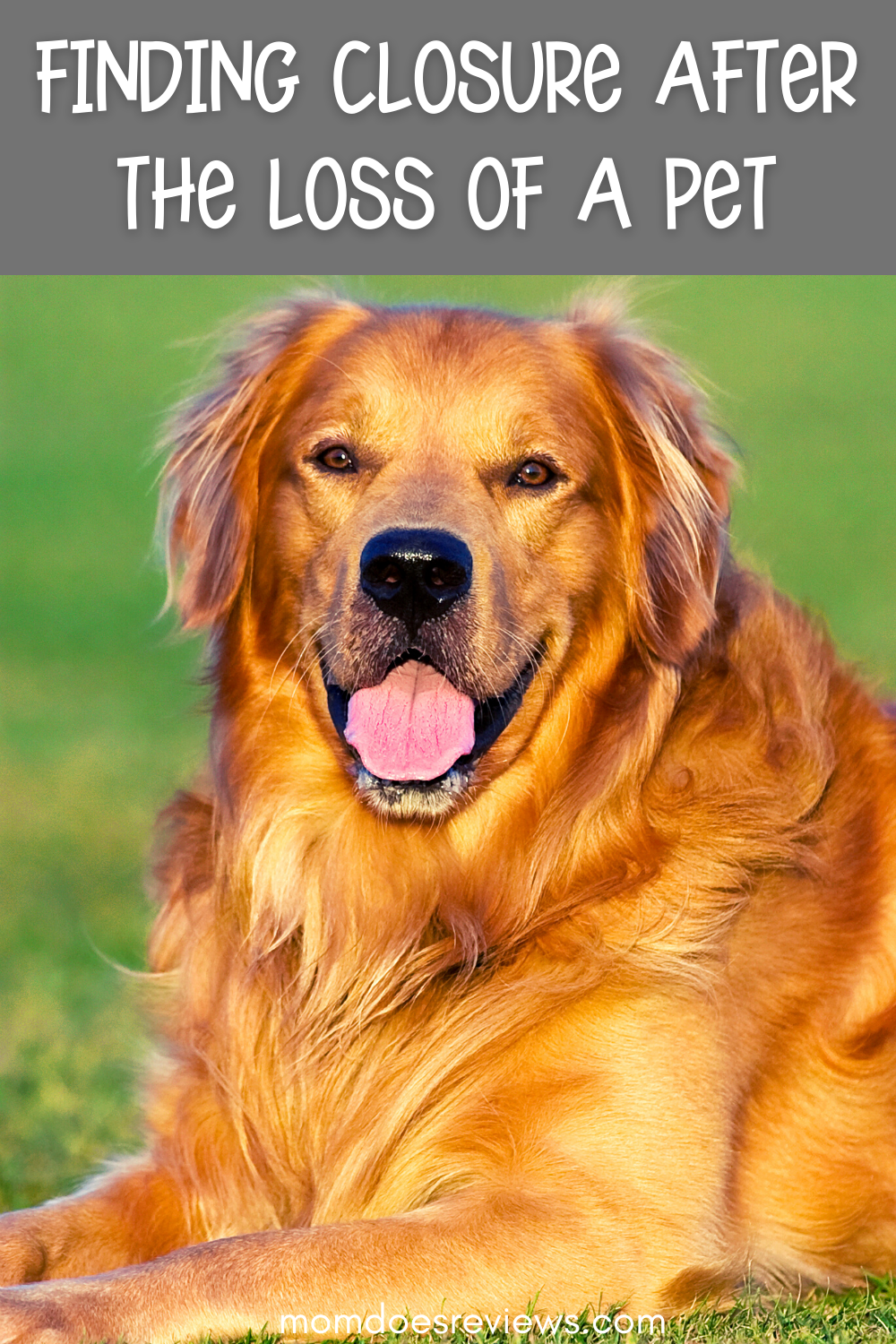 6 Creative Things To Do With Your Pet Cremation Ashes