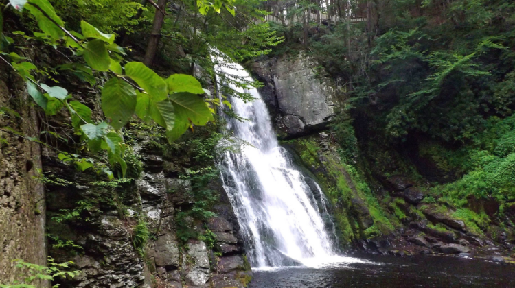 Guide to Planning the Perfect Family Trip to the Poconos