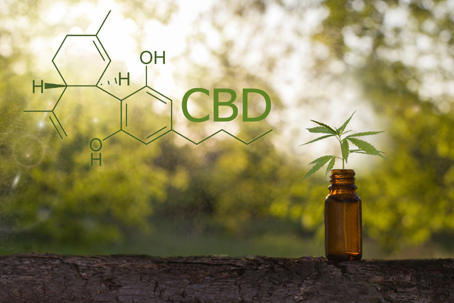What is CBD Concentrate and How to Use it?