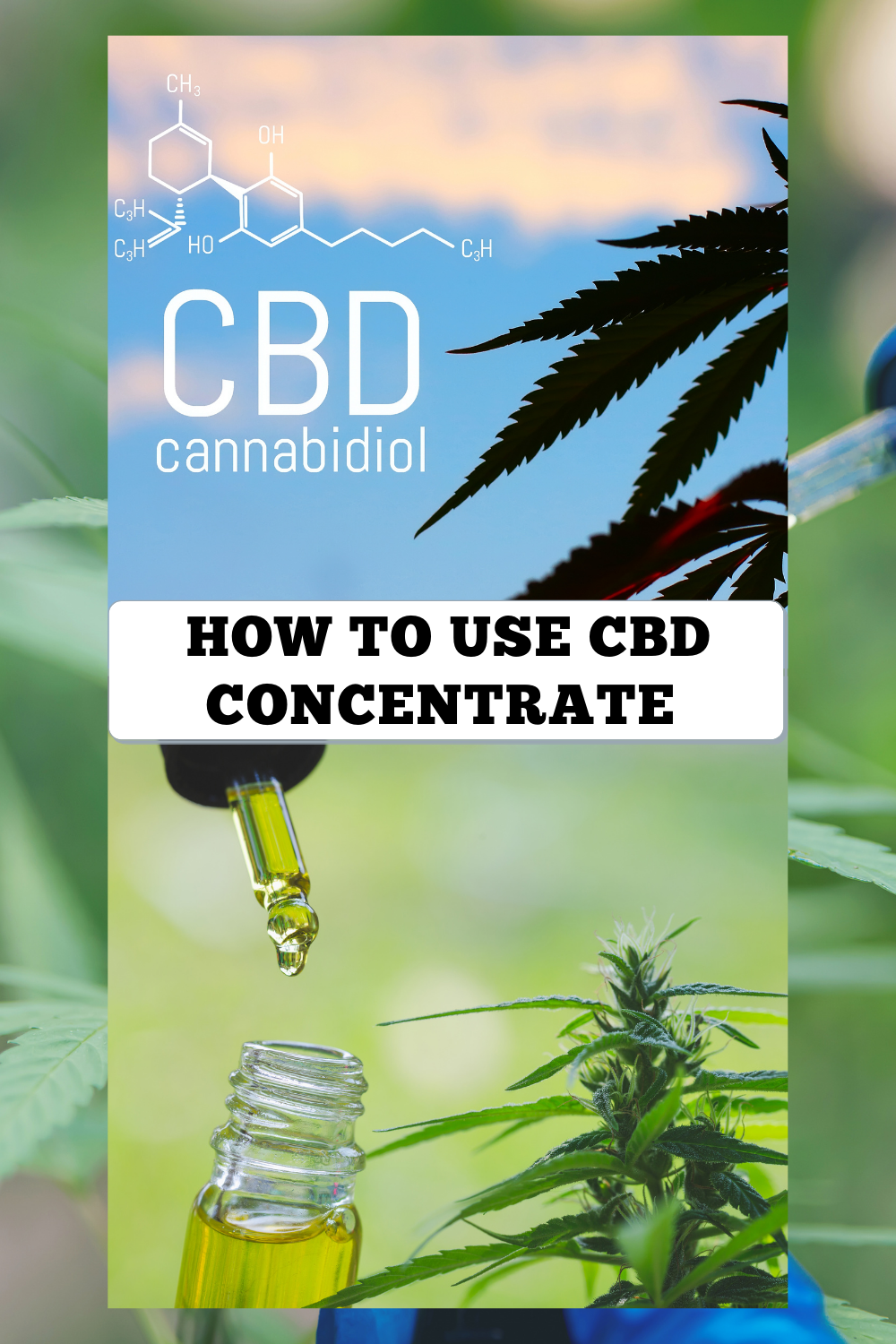 What is CBD Concentrate and How to Use it?