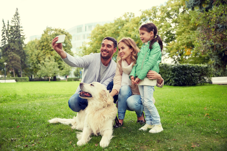 Marketing your real estate property as pet-friendly can help you get more frequent clients with the right intention. We have already talked about the benefits of marketing your property as pet friendly. Read now!