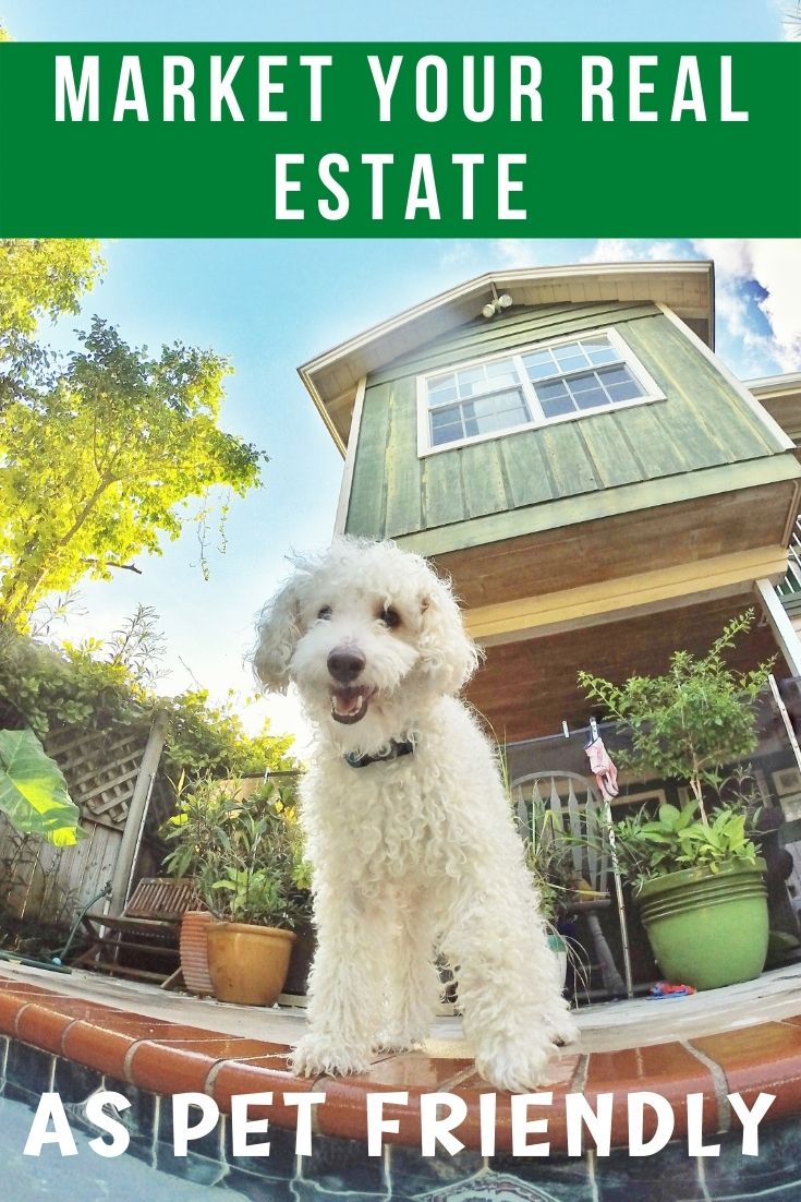 Why Market Your Real Estate Property As Pet-Friendly