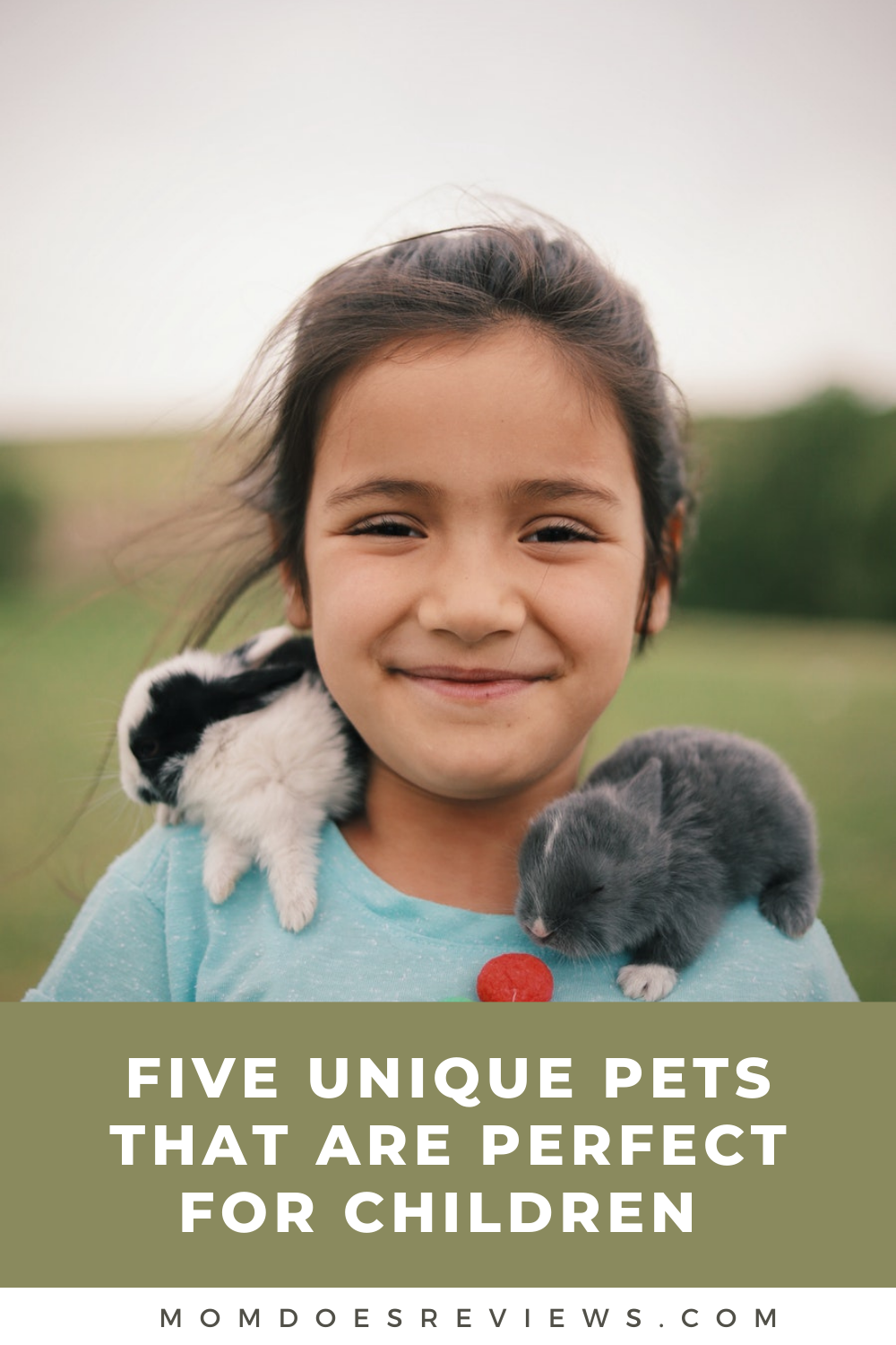 Five Unique Pets that are Perfect for Children