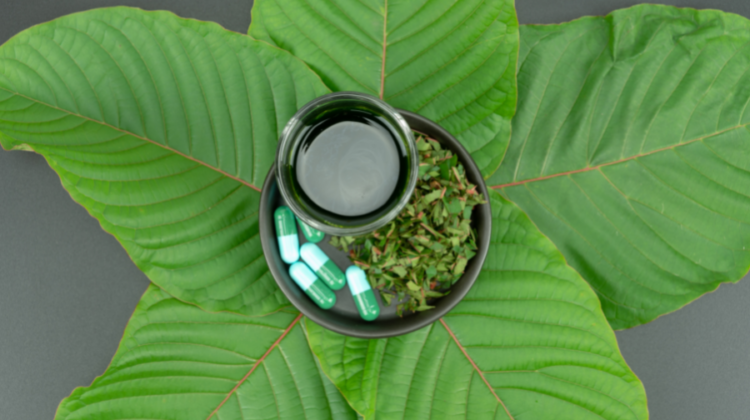 What is Kratom and What is it For?