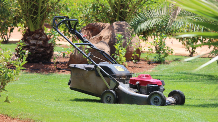 What are the benefits of hiring a commercial lawn care services firm?