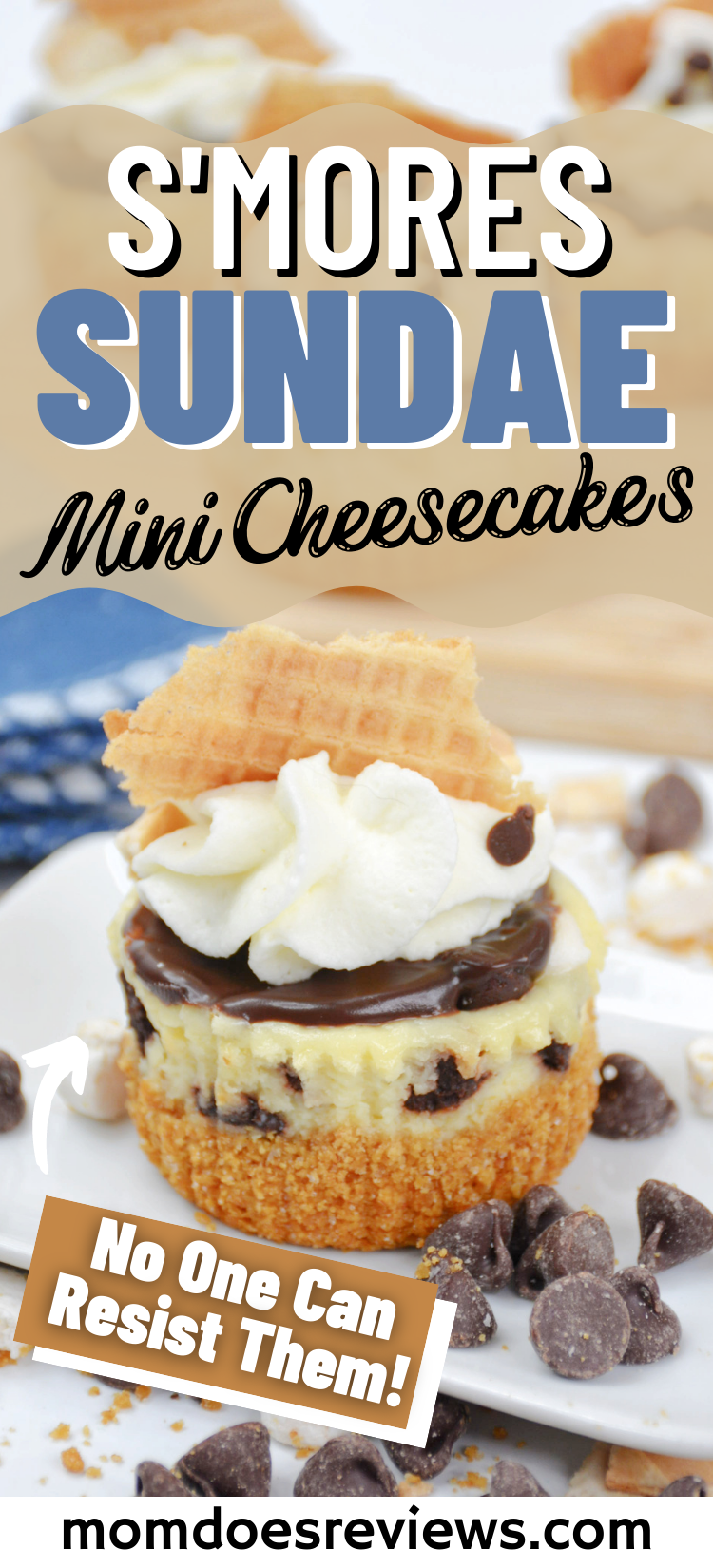 S'mores Sundae Mini Cheesecake Recipe
