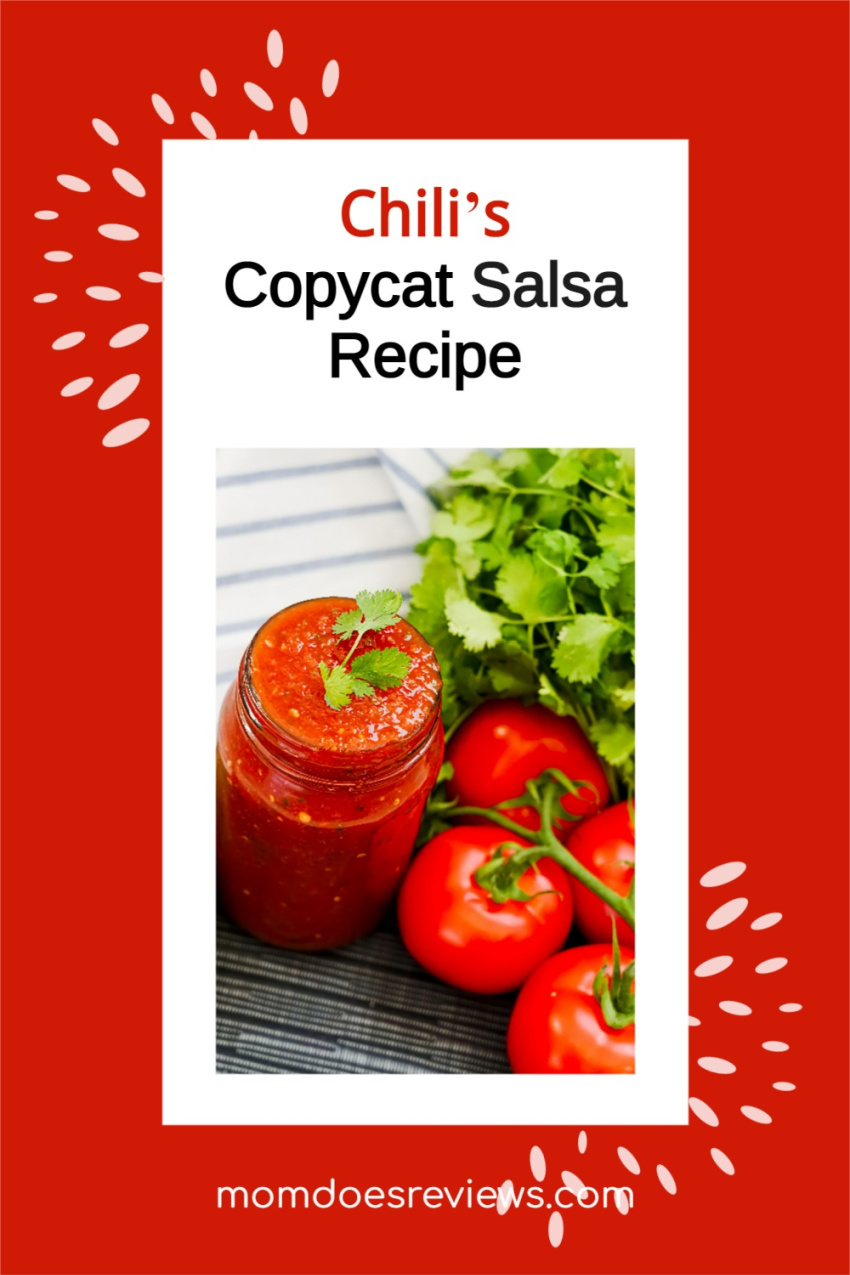 Easy & Delicious Chili’s Copycat Salsa Recipe