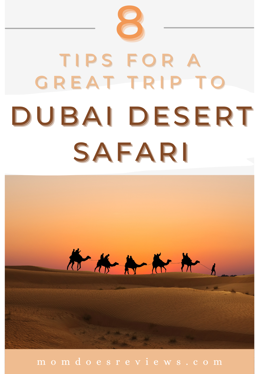 8 Tips for a Great Trip to Dubai Desert Safari