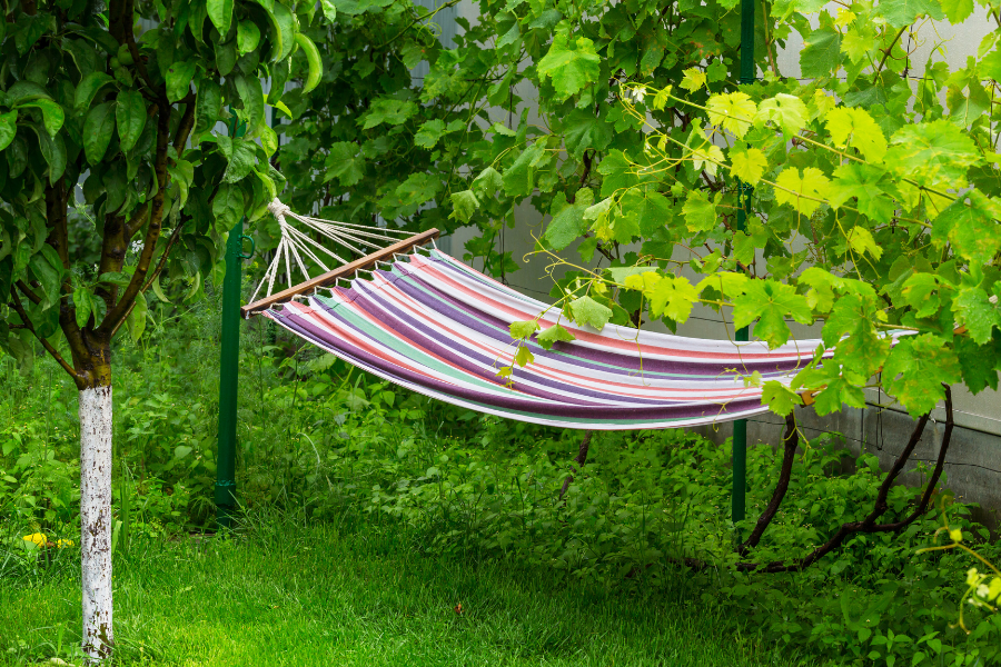 hammock in garden