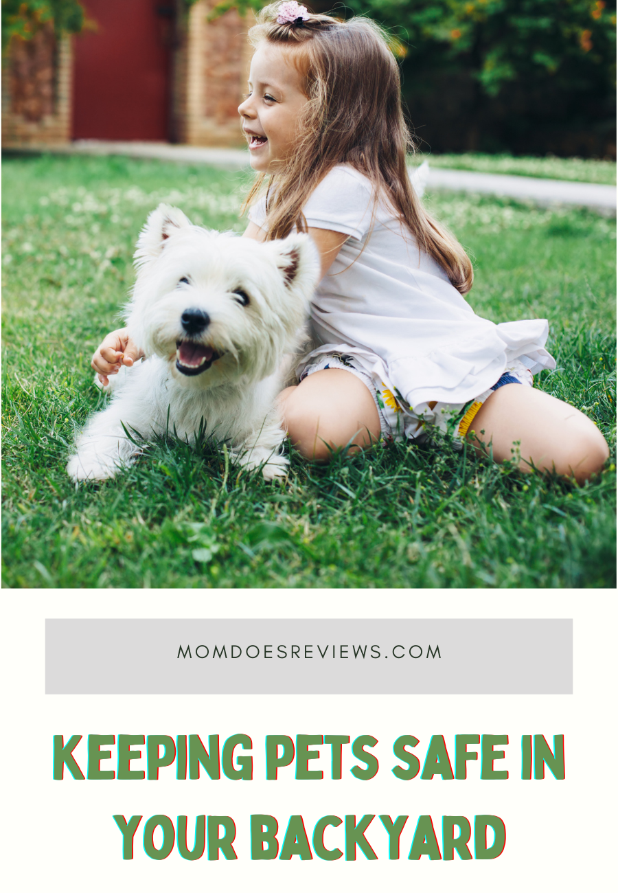Pets and Open Backyards: A Guide to Keeping Your furry Friends Safe