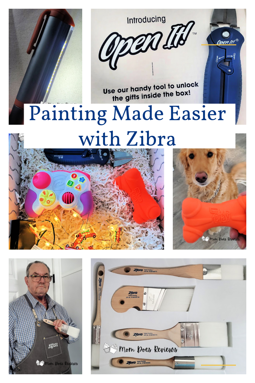 Painting Made Easier with Zibra