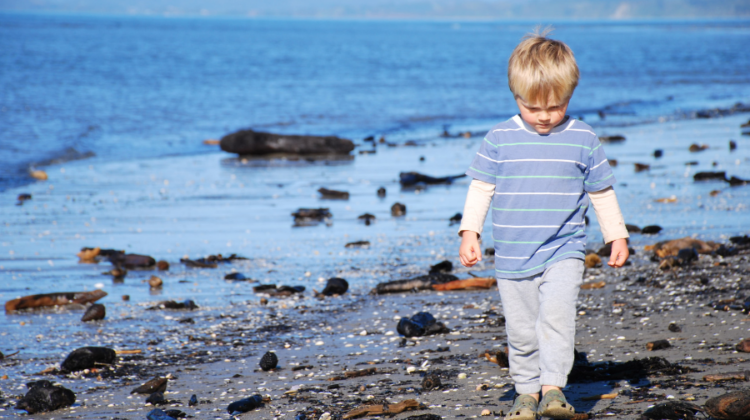 child walking on the beach