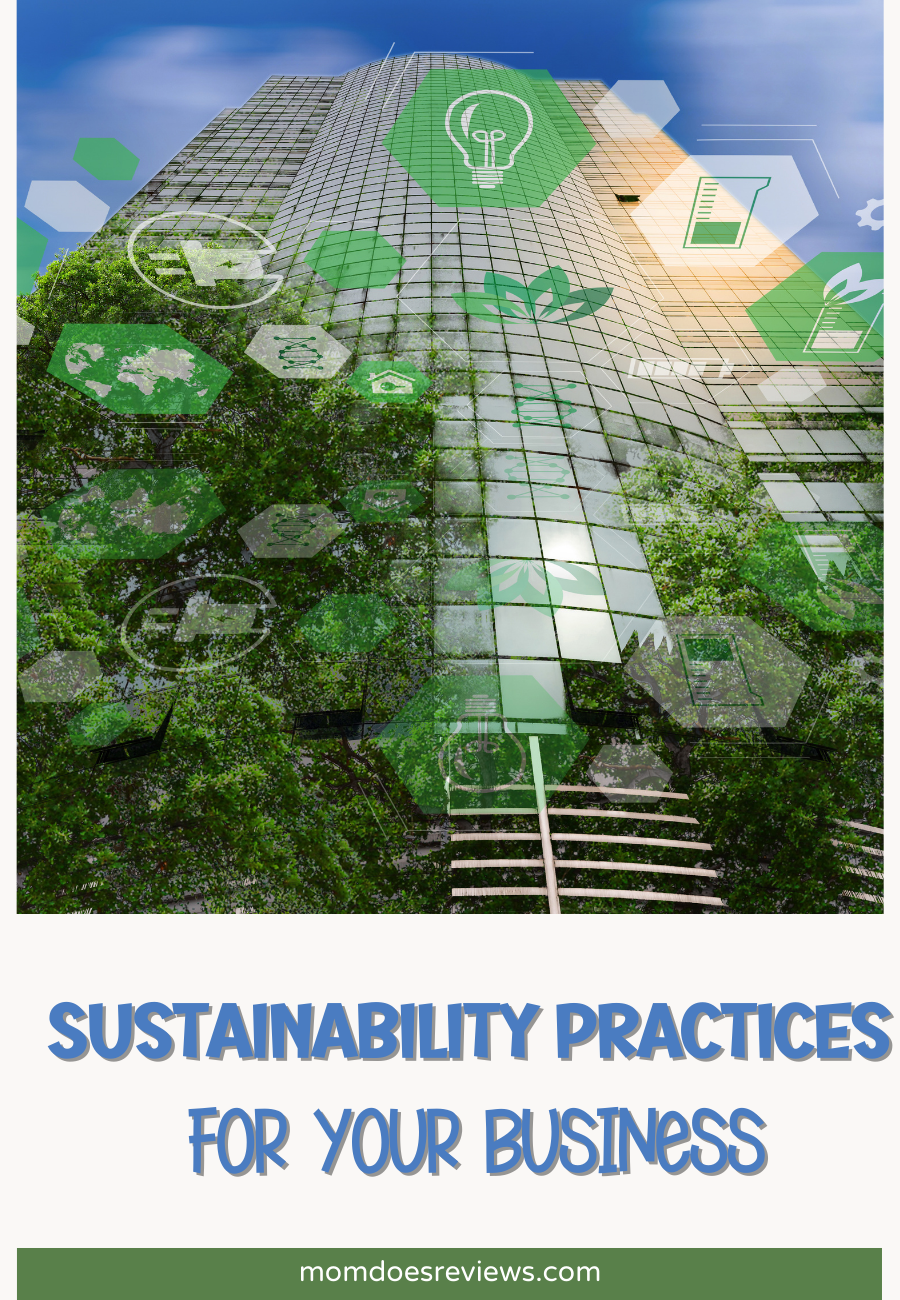 Sustainability Practices That Can Save Your Business Money
