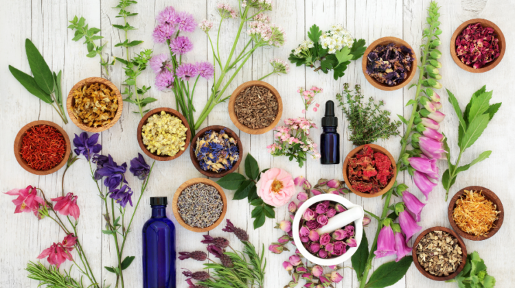 natural herbal supplements