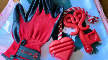 Hands on gloves and sodapup toys