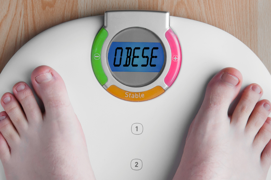 obese scale