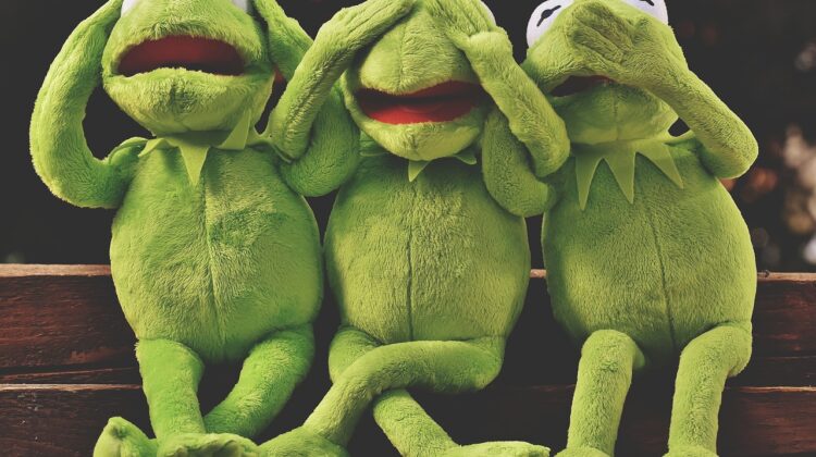 hear no evil, see not evil