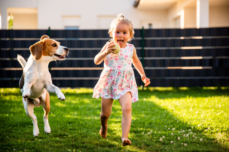 dog and toddler running