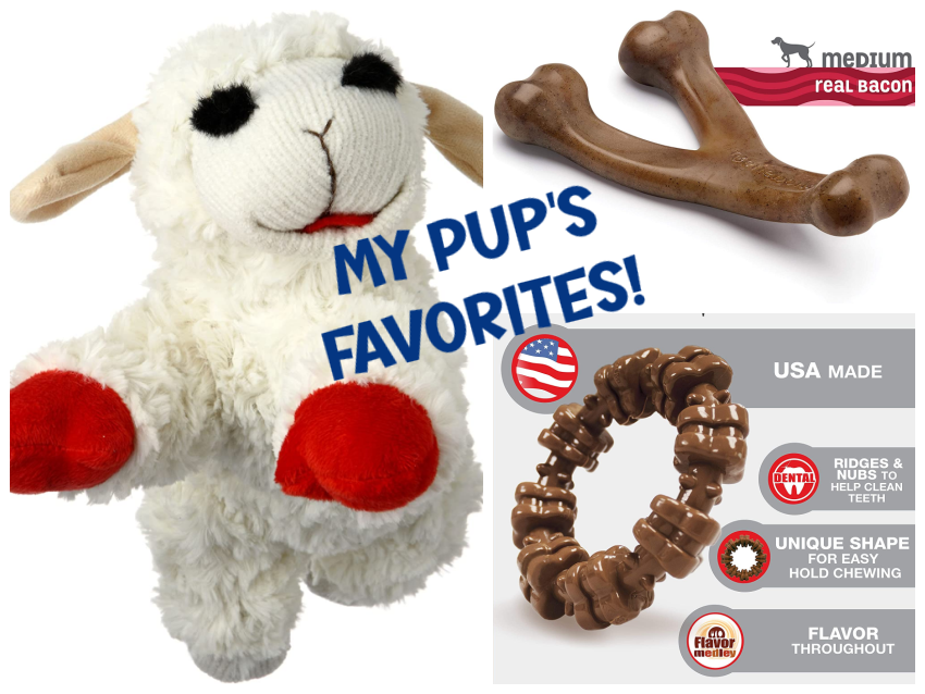 My dog's favorite toys from Amazon