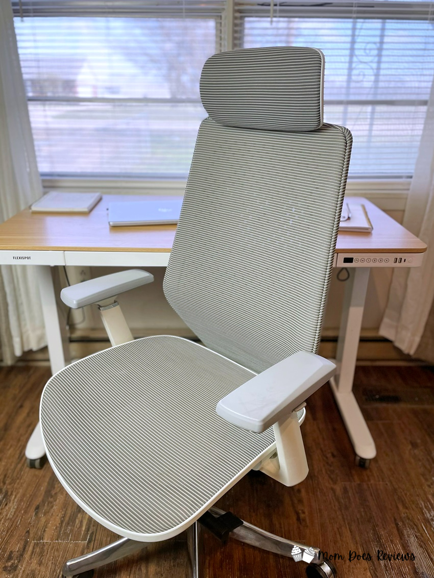 FlexiSpot's Ergonomic Chair