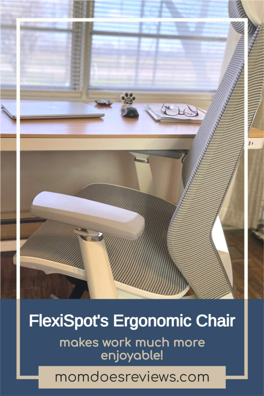 FlexiSpot's Ergonomic Chair Makes Work Much More Enjoyable