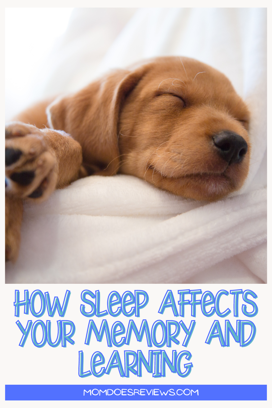 How Sleep Affects Your Memory and Learning