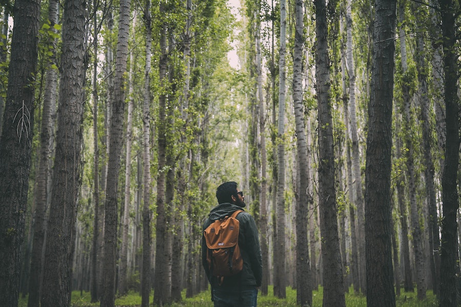 man in forest