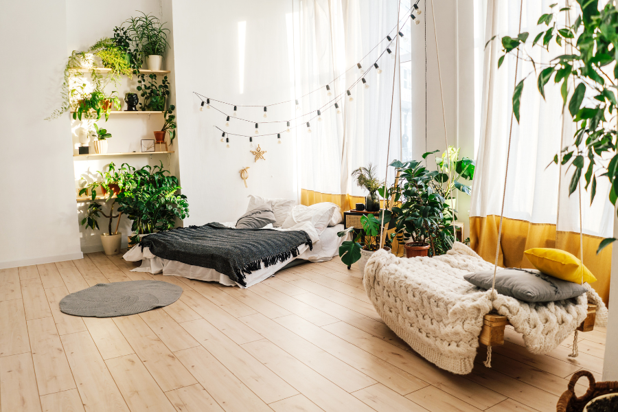 room with natural light and plants