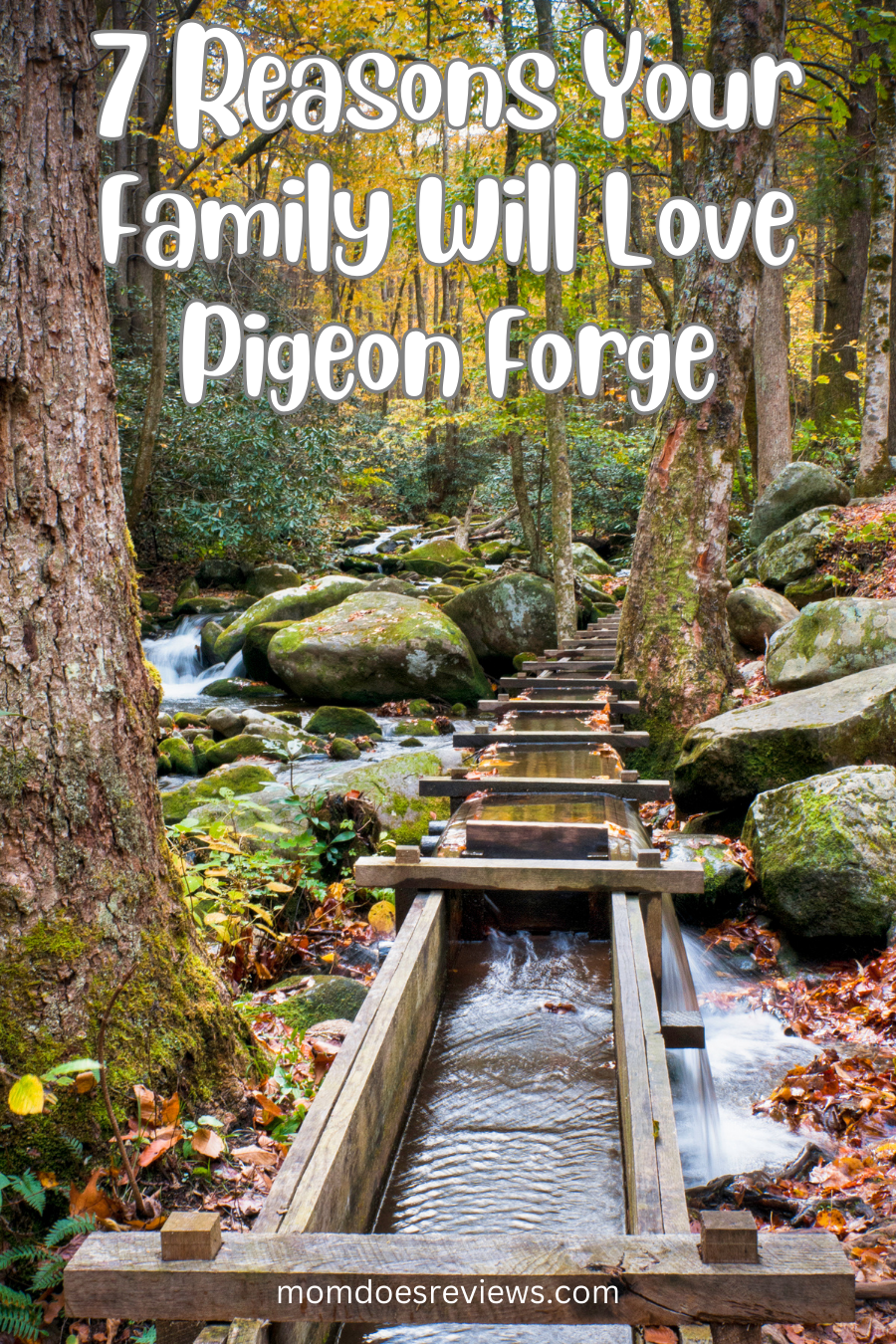 7 Reasons Your Family Will Love Pigeon Forge