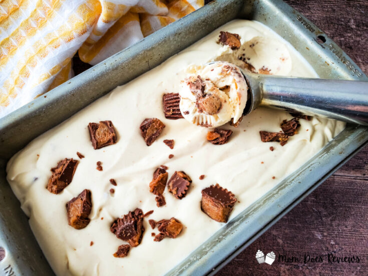 Reese's Peanut Butter Cups Ice Cream