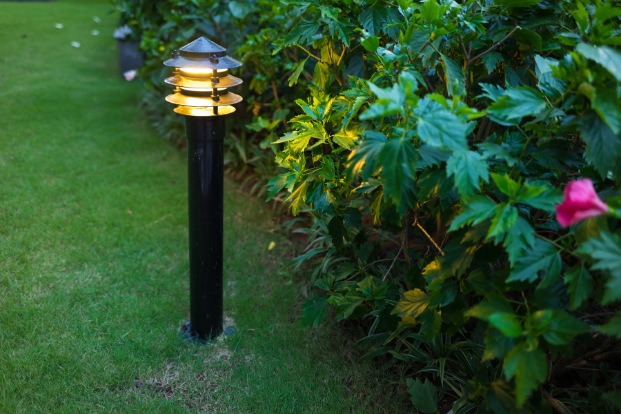 solar light near bushes
