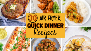 30+ Air Fryer Quick Dinner Recipes