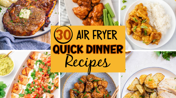 30+ Air Fryer Quick Dinner Recipes
