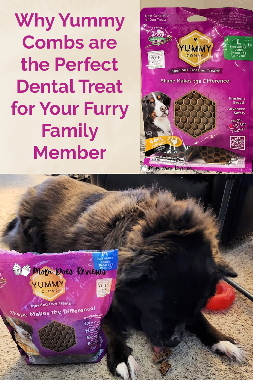 Why Yummy Combs are the Perfect Dental Treat for Your Furry Family Member