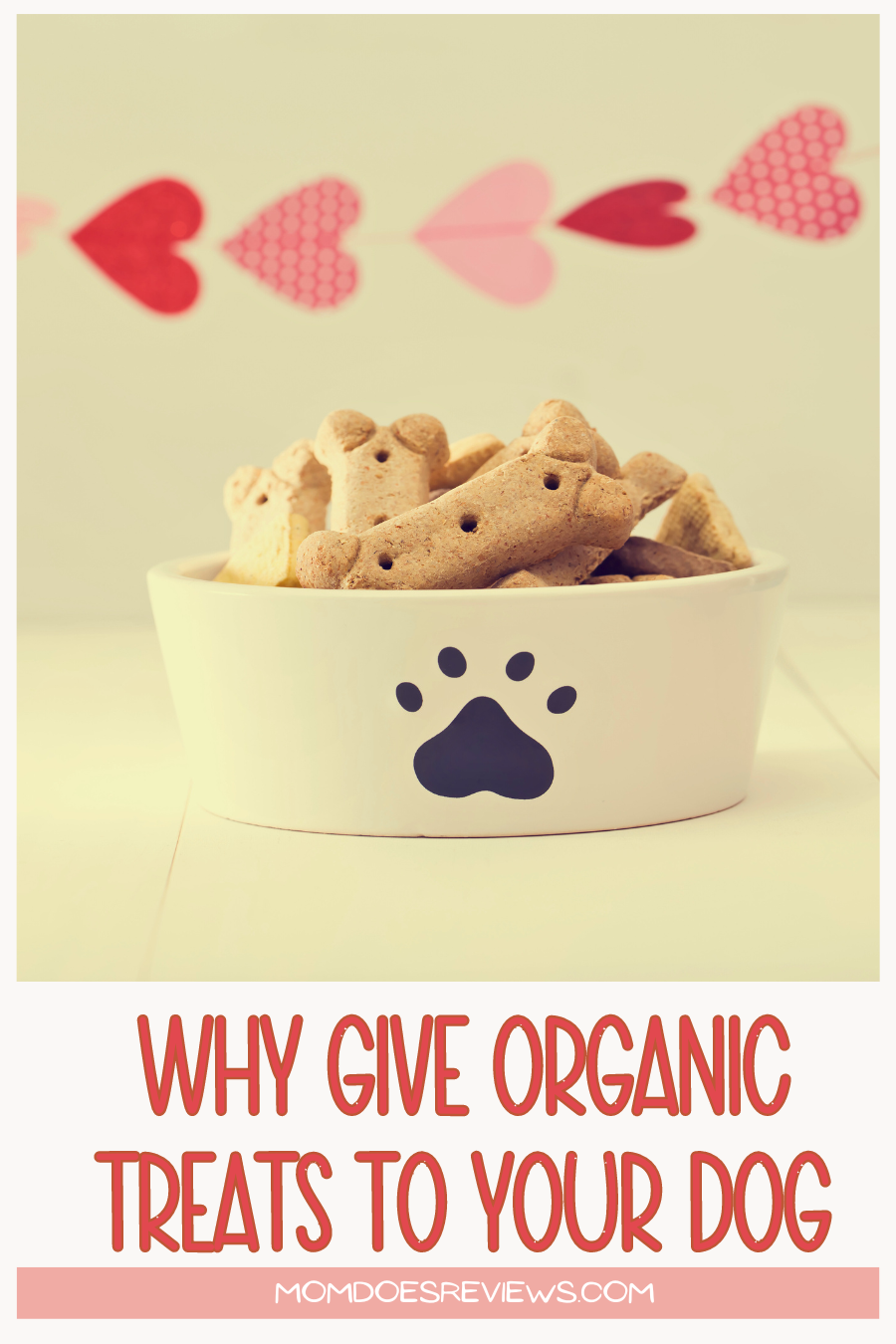 How Organic Dog Treats Fit Into a Sustainable Lifestyle