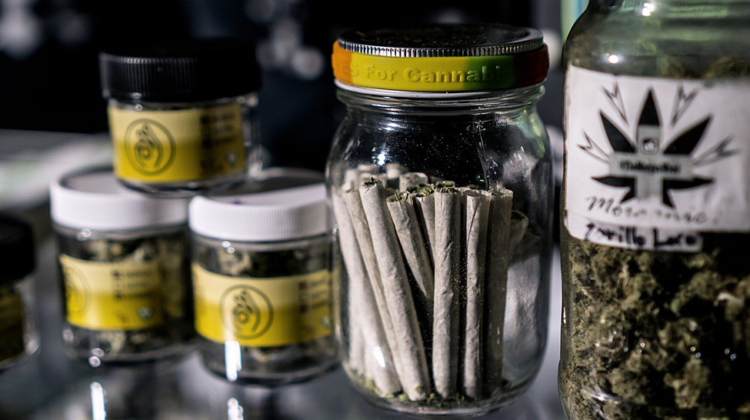pre-rolls indica or sativa