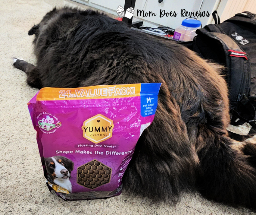 Yummy Treats for Dogs