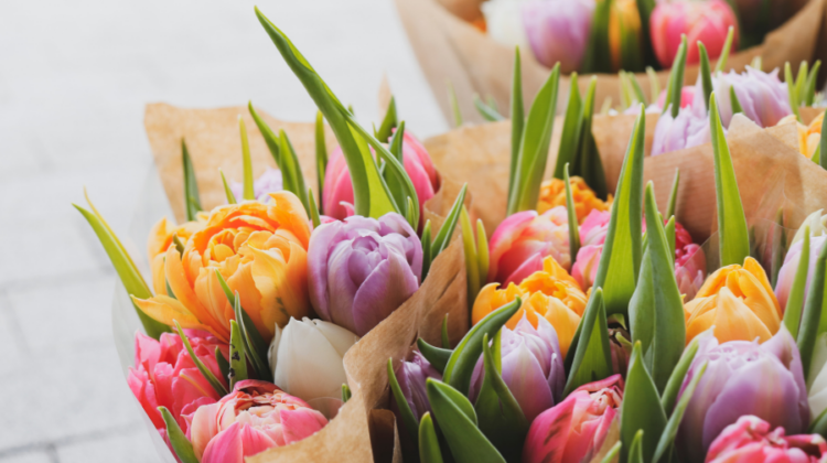 bouquet tulips