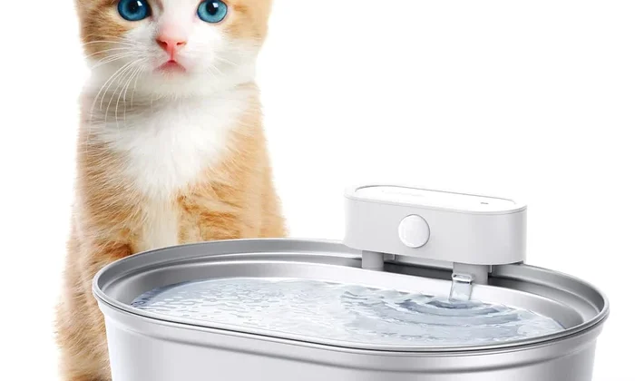 Pet water fountain