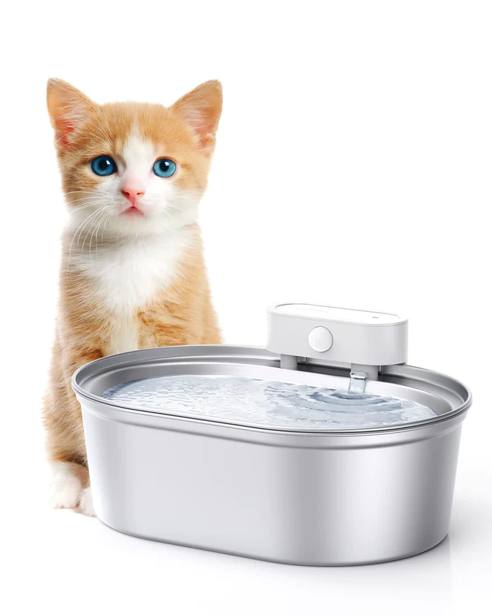Pet water fountain